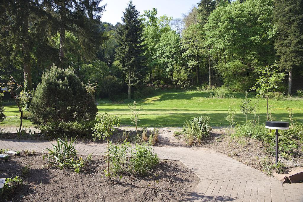 Hotel Luisenpark Bad Bergzabern Bagian luar foto